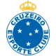 Brasão do time