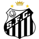 Brasão do time