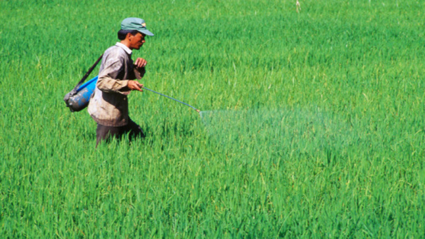 O Lindano, um produto químico amplamente utilizado na agricultura e na remoção de piolhos e sarna em seres humanos, está proibido ou com uso restringido desde 2009 em muitos países. O DDT , outro químico, é aplicado para erradicar o transmissor da malária e na agricultura