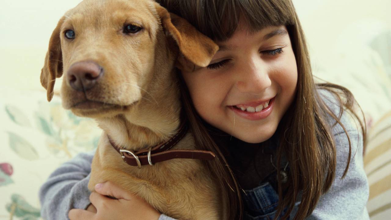 Raiva, salmonela, doença da mordida e da arranhadura do gato, toxoplasmose e giárdia são algumas das doenças que podem ser transmitidas pelos pets