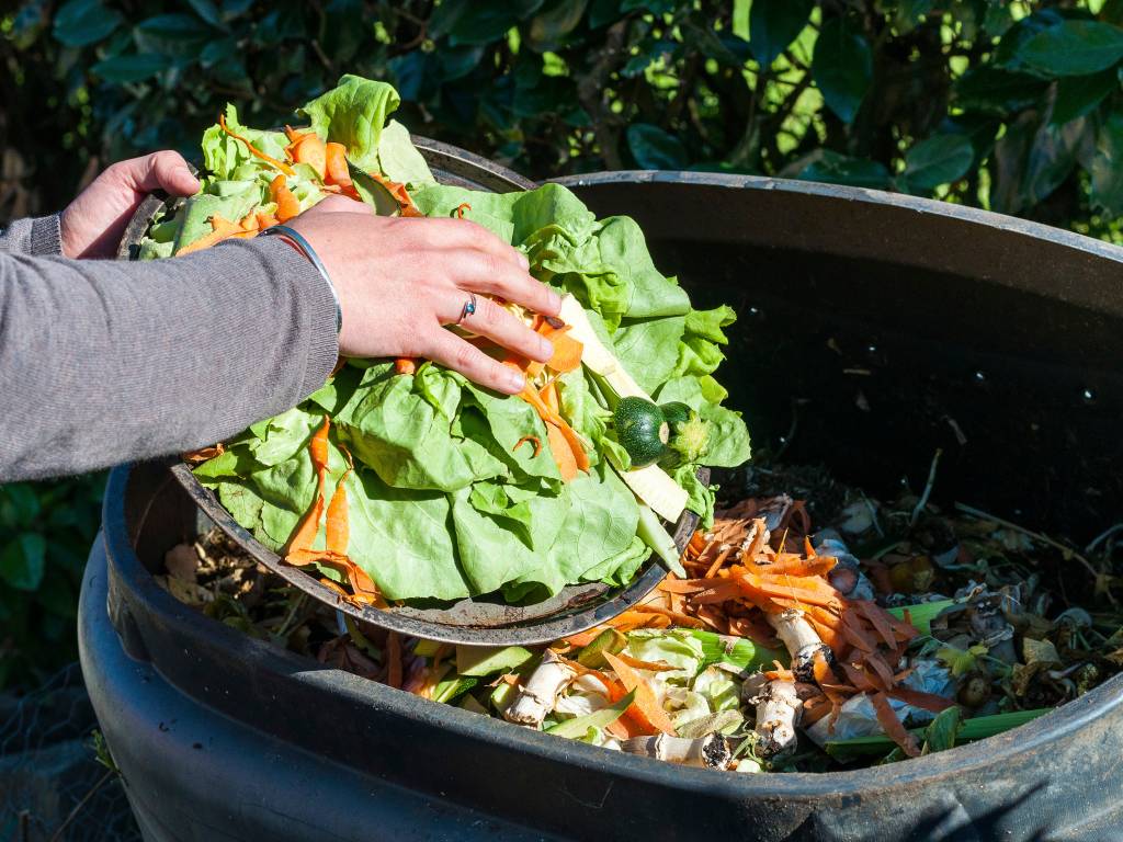 Papel do agro no combate ao desperdício de alimentos