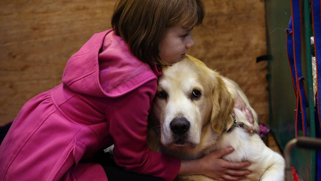 Ao ser imobilizado em um abraço, o cachorro perde seu mecanismo de defesa primordial, a capacidade de correr, o que o deixa bastante ansioso