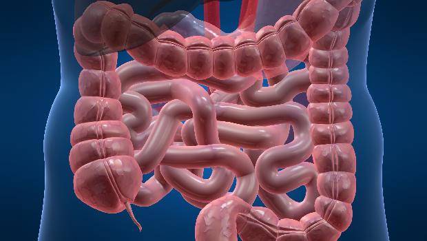 Comprimido com princípio inovador é aprovado para doença de Crohn
