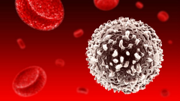O mieloma múltiplo se desenvolve na medulo óssea e afeta as células do plasma, um tipo de glóbulo branco