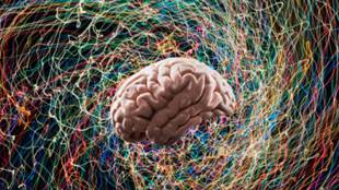 Cientistas criam implante cerebral que traduz pensamento em fala