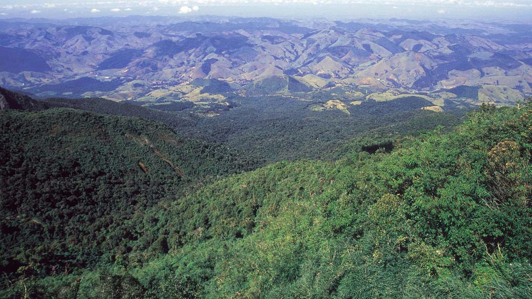 Mata Atlântica