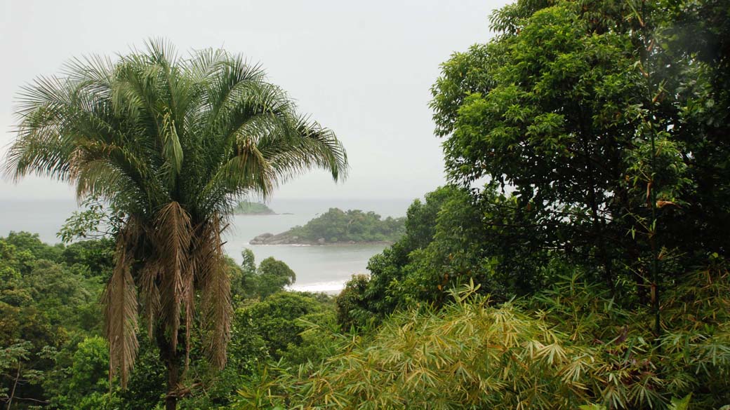 Mata Atlântica