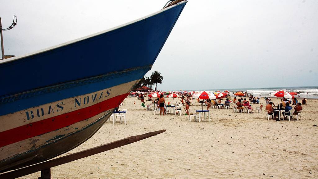 Especialistas investigam causa da morte de golfinho