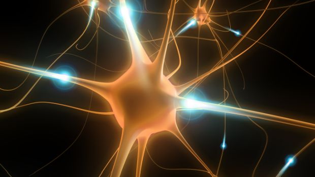 neurônios