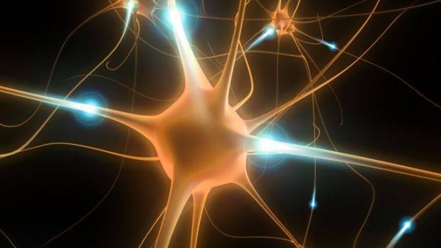 O novo modelo para estudar a doença de Parkinson