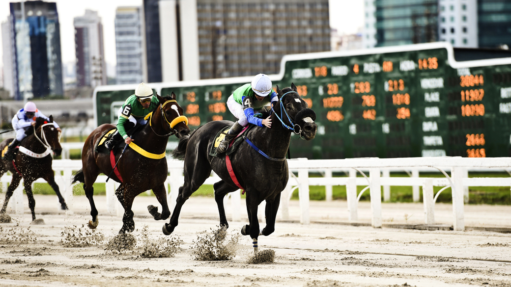 Grande Prêmio São Paulo 2014 disputado no Jockey Club