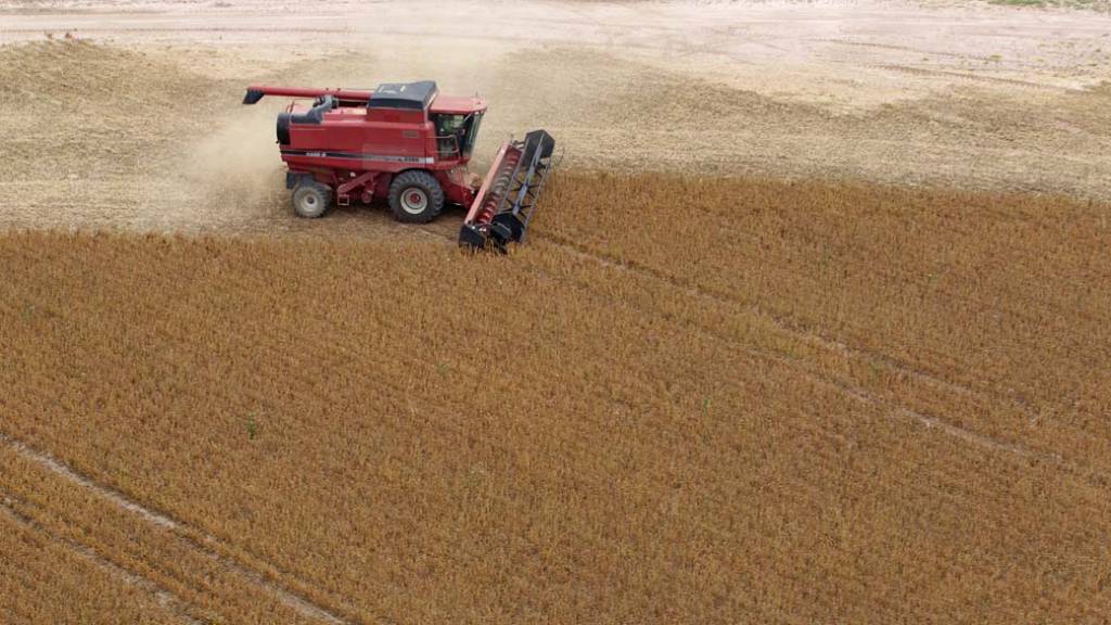 Justiça cassa liminar que suspendia uso do glifosato