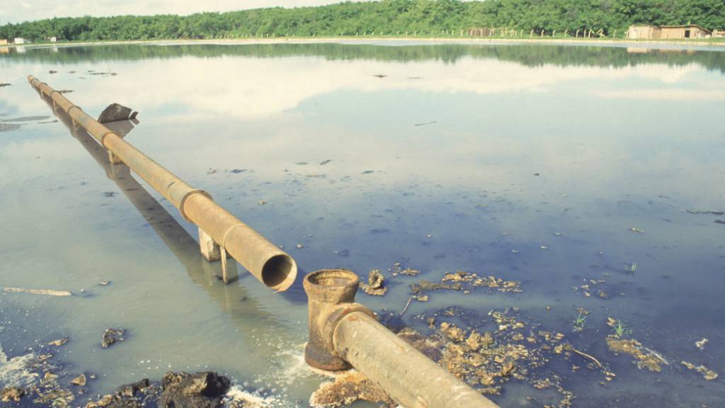 Em um ano, casos de hepatite A saltam 54,5% no Brasil; saiba como prevenir