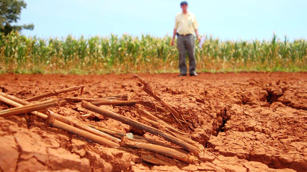 Estiagem prejudica lavouras em Joia, no Rio Grande do Sul