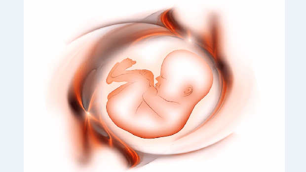 Poluentes onipresentes afetam fertilidade e chegam até a órgãos do bebê