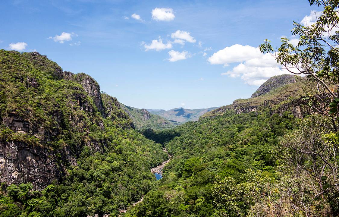 A Chapada dos Veadeiros é uma região de cerrado no nordeste do estado de Goiás abrangendo cinco municipios: Alto Paraíso, Cavalcante, Colinas do Sul, São João D'aliança e Teresina. Foi tombada como Patrimônio Mundial da Humanidade pela UNESCO em 2001