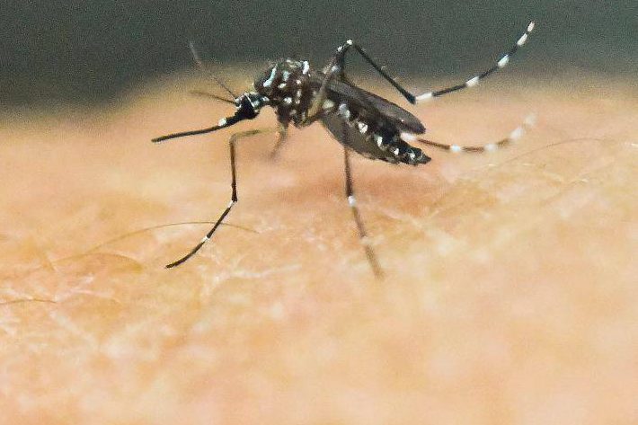92% sentem falta de mais informações sobre zika