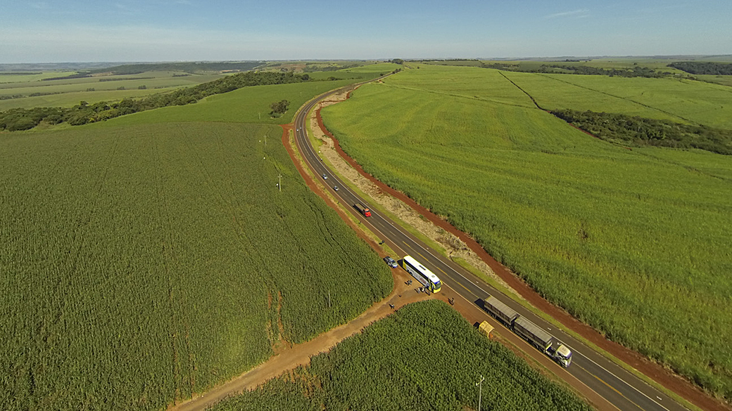 Foto aérea feita com drone, de uma plantação de milho na região de Maringá (PR)
