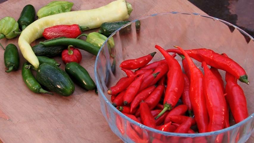 Aprenda cultivar pimentas e preparar uma conserva