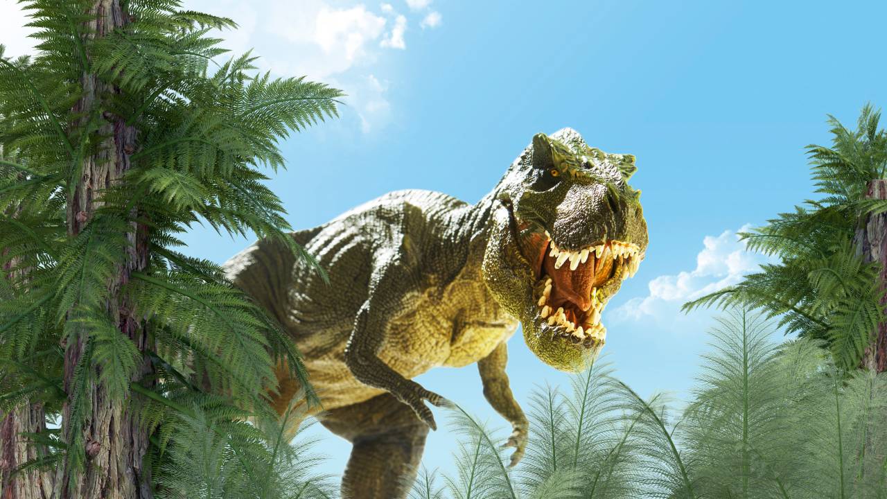 Tiranossauro Rex
