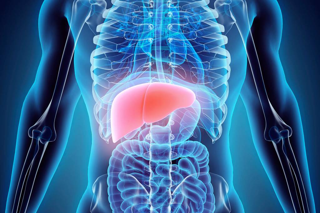 Gordura no fígado: brasileiros desconhecem o perigo nem sabem como detectá-lo