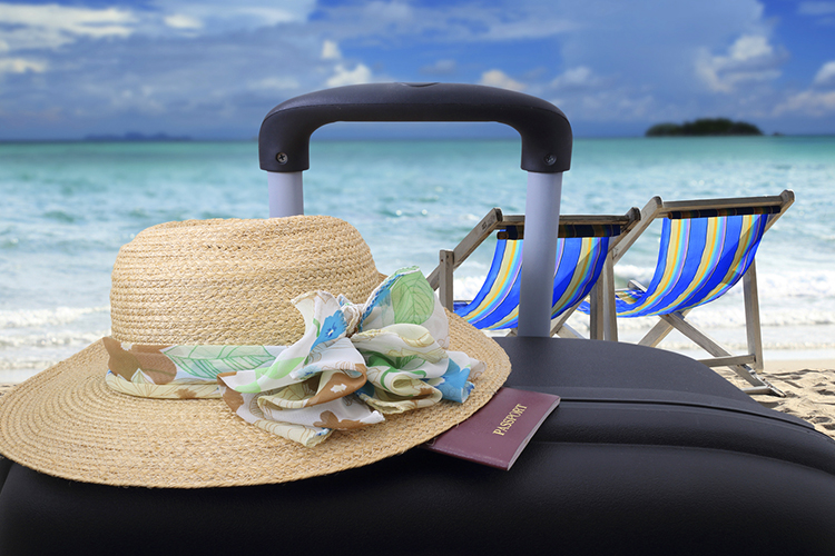 Quais são os feriados de novembro?