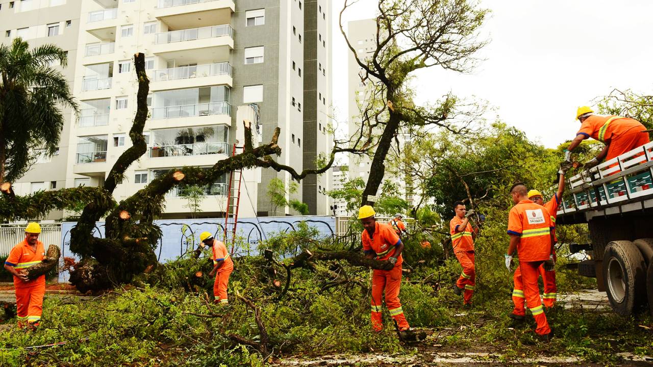 Funcionários da prefeitura retiram árvores caídas após temporal no bairro da Lapa, zona oeste de São Paulo (SP) - 21/10/2016