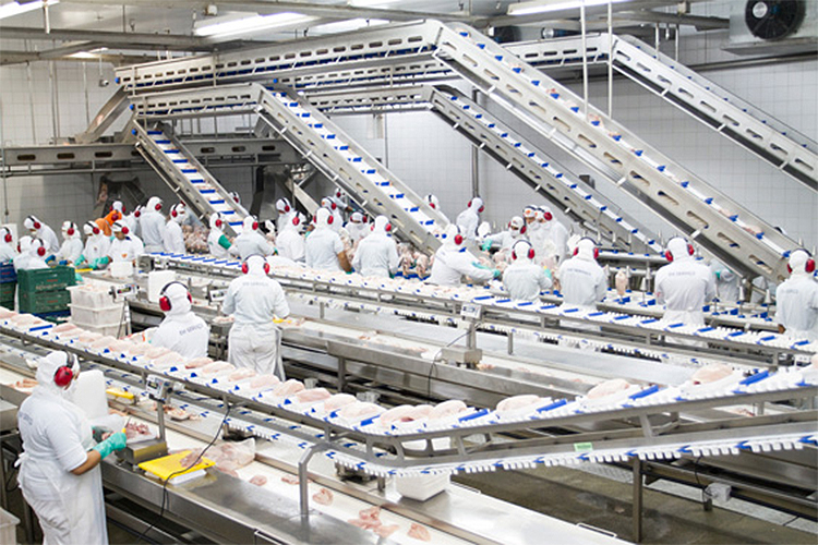 Linha de produção em indústria alimentícia