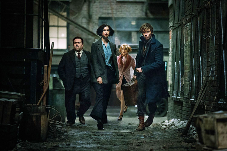 Jacob (Dan Fogler), Porpentina (Katherine Waterston), Queenie (Alison Sudol) e Newt Scamander (Eddie Redmayne) em 'Animais Fantásticos e Onde Habitam'