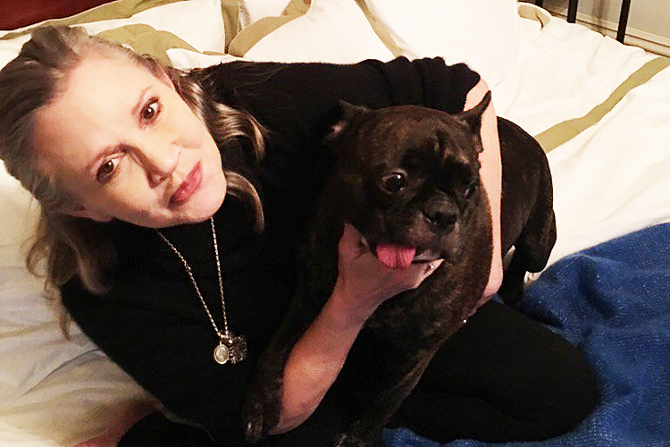 Carrie Fisher e seu cachorro Gary