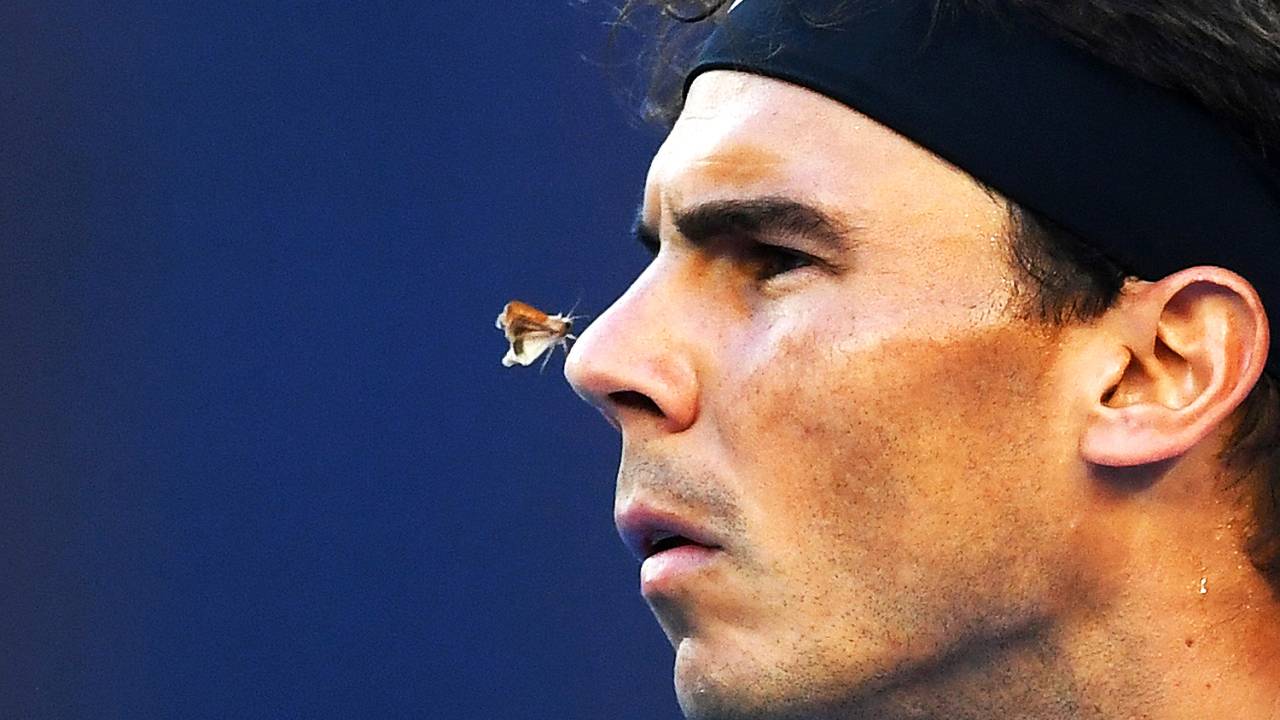 Rafael Nadal