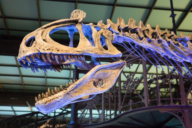 Cryolophosaurus ellioti Cryolophosaurus ellioti