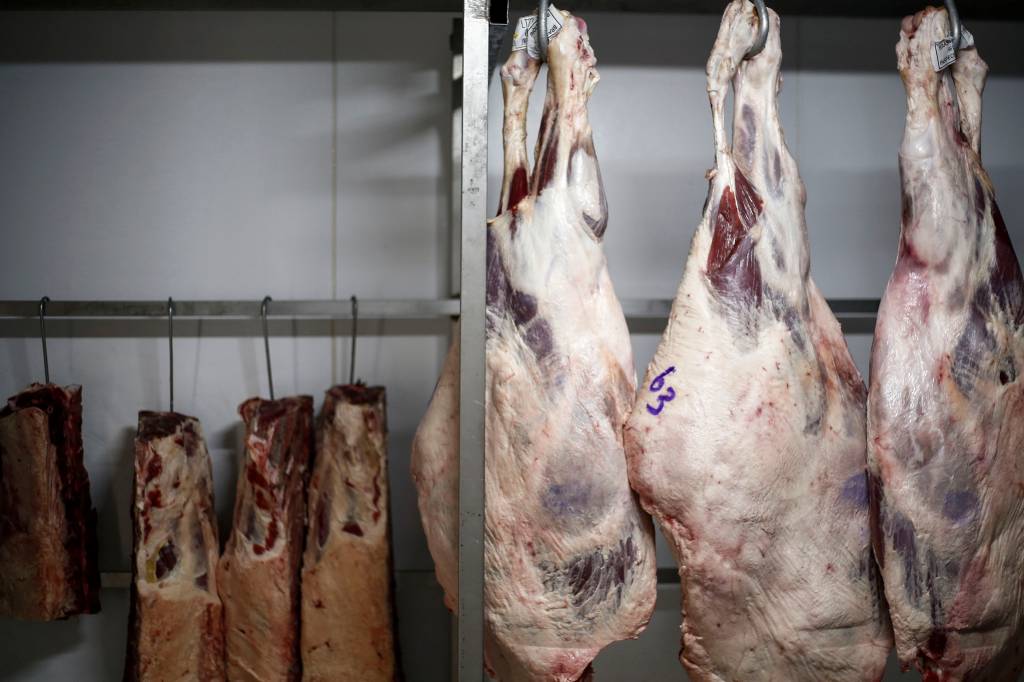 Eliane Cantanhêde: Carne podre, carne fraca