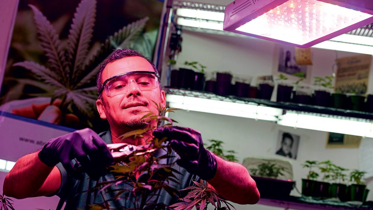 ALQUIMIA - Cassiano Teixeira, em seu laboratório em João Pessoa: o óleo de Cannabis que beneficia 300 doentes