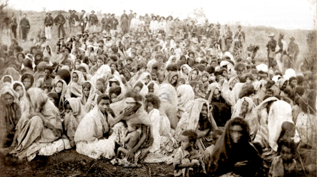 Deonísio da Silva: Em tempo de murici, cada um cuida de si