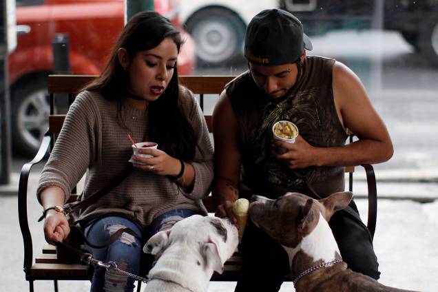 Casal oferece sorvete para cachorros em uma sorveteria especializada em caninos, na Cidade do México Casal oferece sorvete para cachorros em uma sorveteria especializada em caninos, na Cidade do México
