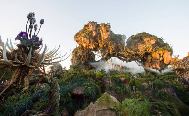 Pandora – The World of Avatar at Disney’s Animal Kingdom