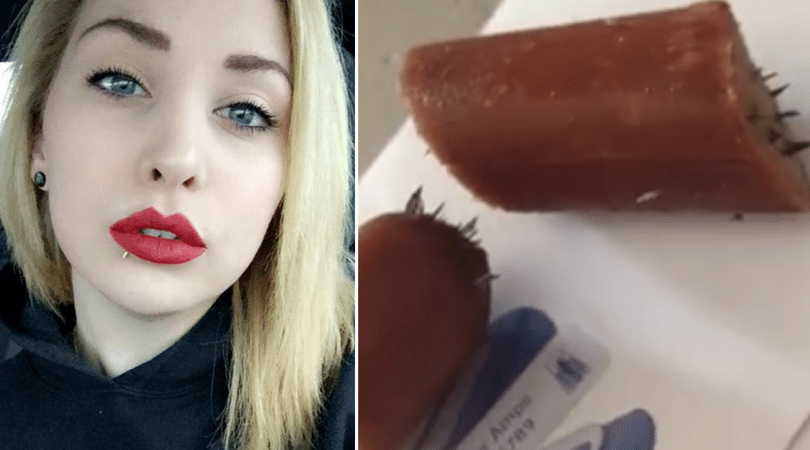 Mulher encontra armadilha para cães no quintal e comove redes