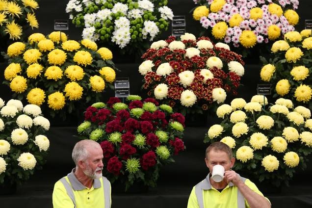 Jardineiros fazem pausa para chá durante organização do Chelsea Flower Show, em Londres Jardineiros fazem pausa para chá durante organização do Chelsea Flower Show, em Londres