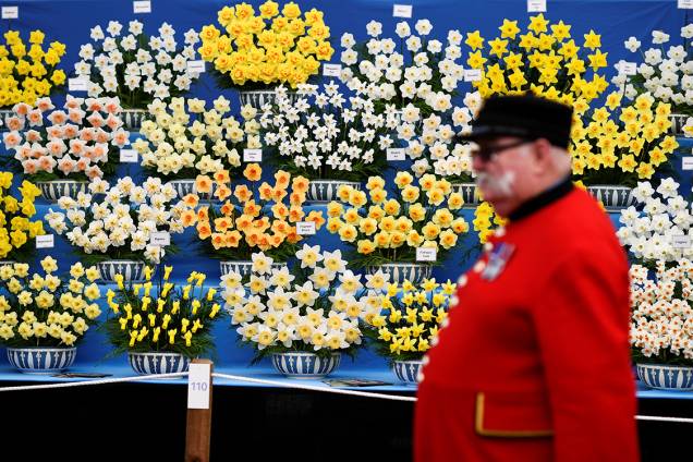 Guarda é fotografado entre os arranjos de flores dispostos no festival Chelsea Flower Show, em Londres Guarda é fotografado entre os arranjos de flores dispostos no festival Chelsea Flower Show, em Londres