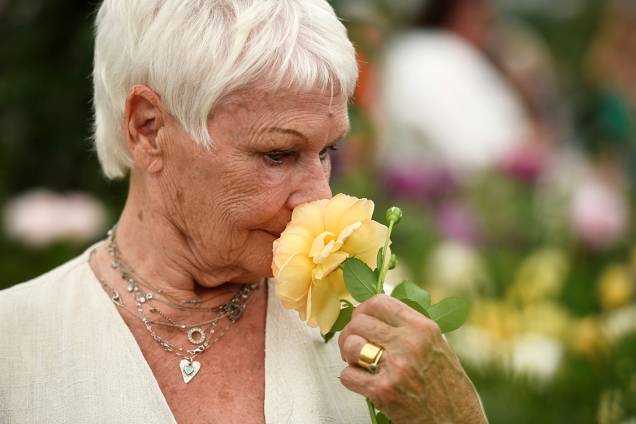Atriz Judi Dench visita o festival Chelsea Flower Show, que acontece anualmente em Londres, Inglaterra Atriz Judi Dench visita o festival Chelsea Flower Show, que acontece anualmente em Londres, Inglaterra