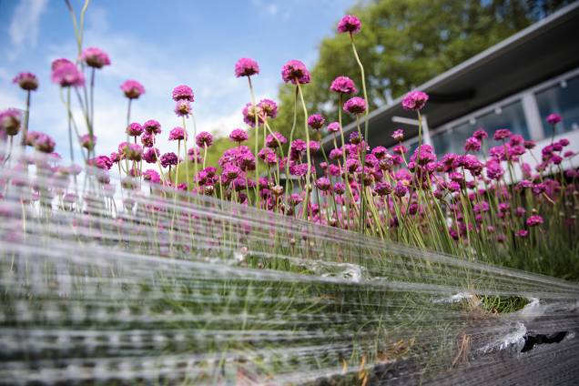 Caminhão leva flores a serem plantadas e expostas no festival Chelsea Flowers, em Londres Caminhão leva flores a serem plantadas e expostas no festival Chelsea Flowers, em Londres