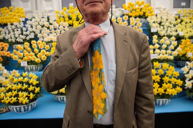 Homem vestindo uma gravata estampada com narcisos posa para foto em frente ao estande de narcisos no festival Chelsea Flower Show Homem vestindo uma gravata estampada com narcisos posa para foto em frente ao estande de narcisos no festival Chelsea Flower Show