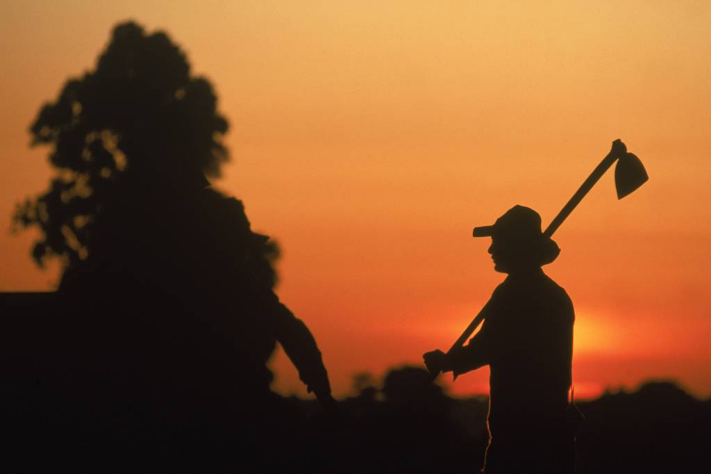 Fundação americana estuda casos de trabalho forçado na pecuária do Pará