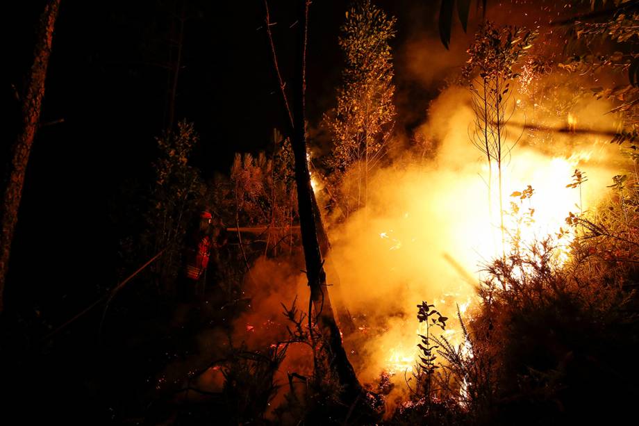 Grande incêndio florestal deixa pelo menos 62 mortos em Portugal - 18/06/2017