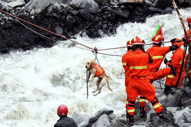 Equipes de emergência usam cachorro para ajudar nos resgates no vilarejo de Xinmo, no sudoeste da China. Um deslizamento de terra deixou 10 mortos e 100 pessoas estão desaparecidas - 25/06/2017 Equipes de emergência usam cachorro para ajudar nos resgates no vilarejo de Xinmo, no sudoeste da China. Um deslizamento de terra deixou 10 mortos e 100 pessoas estão desaparecidas - 25/06/2017