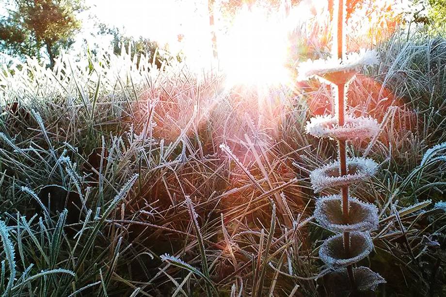 A temperatura em Urupema (SC) foi mais amena e fez -4,3°C, quinto dia seguido de temperaturas negativas.  Agora o frio começa a perder um pouco a intensidade e o sol começa a aparecer - 21/07/2017