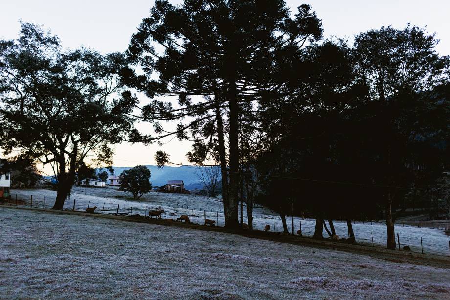 Geada na cidade de Erechim (RS), no amanhecer da quarta-feira (19)