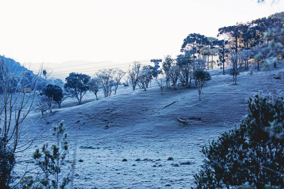 A paisagem branca na cidade de Erechim, no Rio Grande do Sul, que amanheceu com os campos coberto pela geada toda a semana.