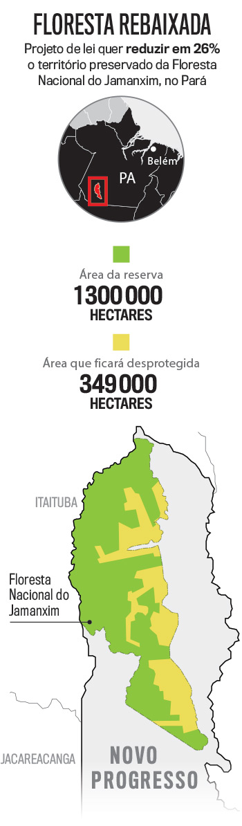 arte-floresta-rebaixada-vj2541
